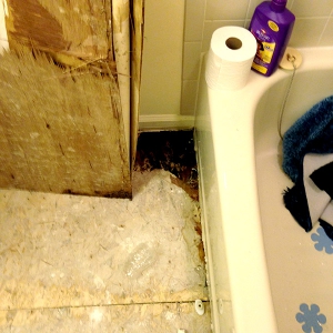 Bathroom Remodeling - Disaster Restoration - Scene Clean