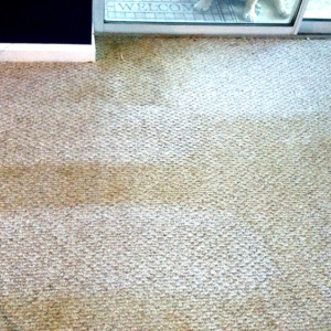 Carpet Cleaning Photo | Scene Clean
