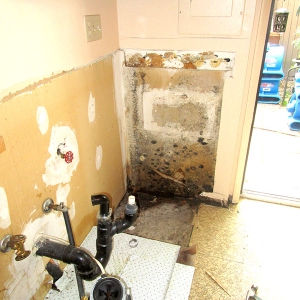 Mold Remediation Job Photo - Scene Clean
