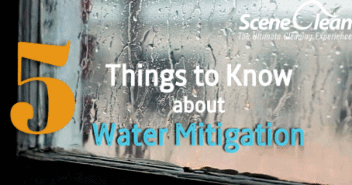 5 things to know about water mitigation blog graphic